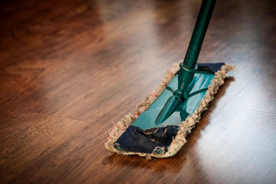 A mop cleaning a wooden floor.